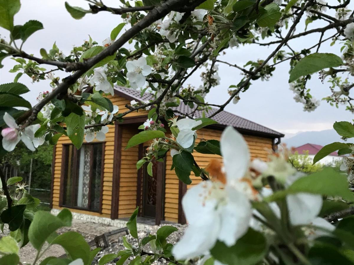 Бархат Zandrypsch Exterior foto